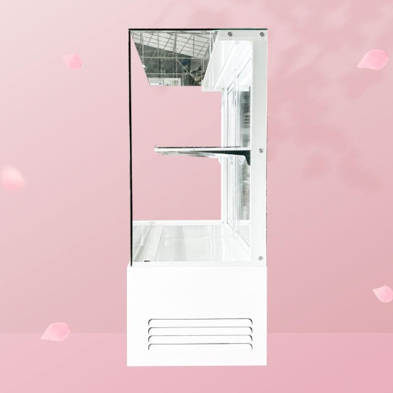 꽃집 2단 플라워쇼케이스 생화 꽃 진열 냉장쇼케이스 900 - 상세 이미지 3