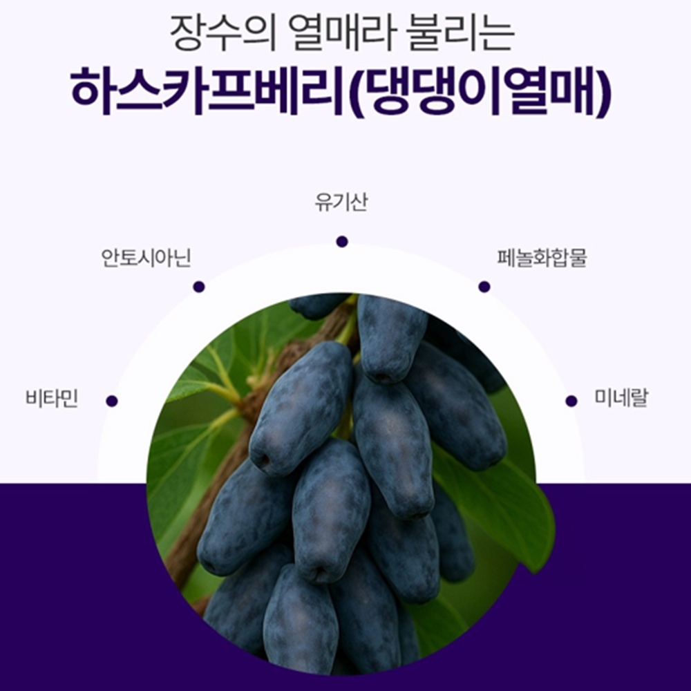 참굿즈 동결건조 유기농 하스카프베리 분말 60g 2통 댕댕이나무 열매 C3G 안토시아닌 - 상세 이미지 3