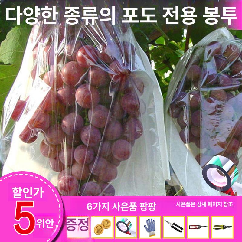 포장지 과수원 과수봉지 포도투명봉지 반투명 전체 19x26cm 0.5kg 프리미엄 목재지 100개 - 상세 이미지 4