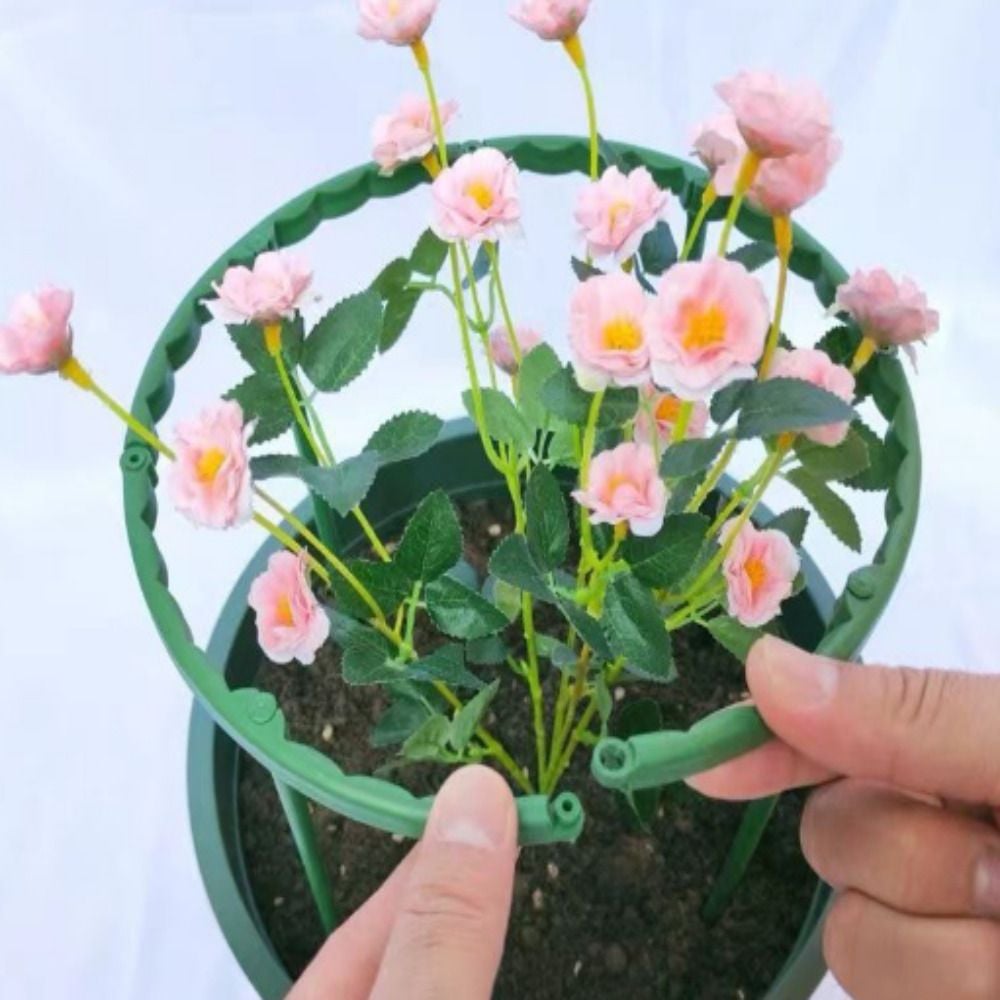 식물 화분 넝쿨 화초 넝쿨식물 지지대 - 메인 이미지
