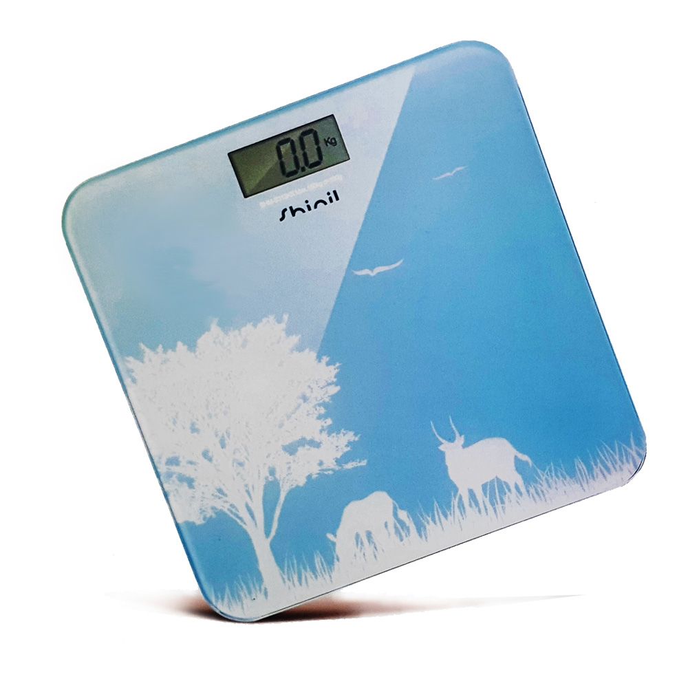 신일313 슬림 디지털 체충계 150kg 하늘색 저울 - 상품 이미지