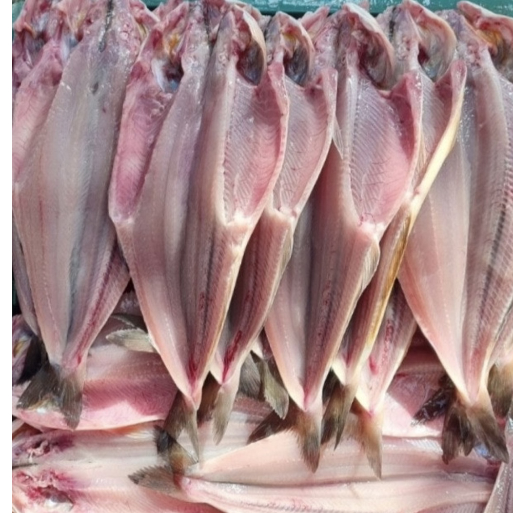 동해의선물 국산 저염 반건조임연수 4-6미 이면수어 500g, 2개 - 상품 이미지