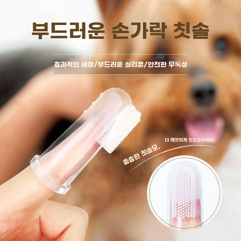 반려동물 손가락 칫솔 세트 실리콘 치약 포함 구강청결 - 상세 이미지 3