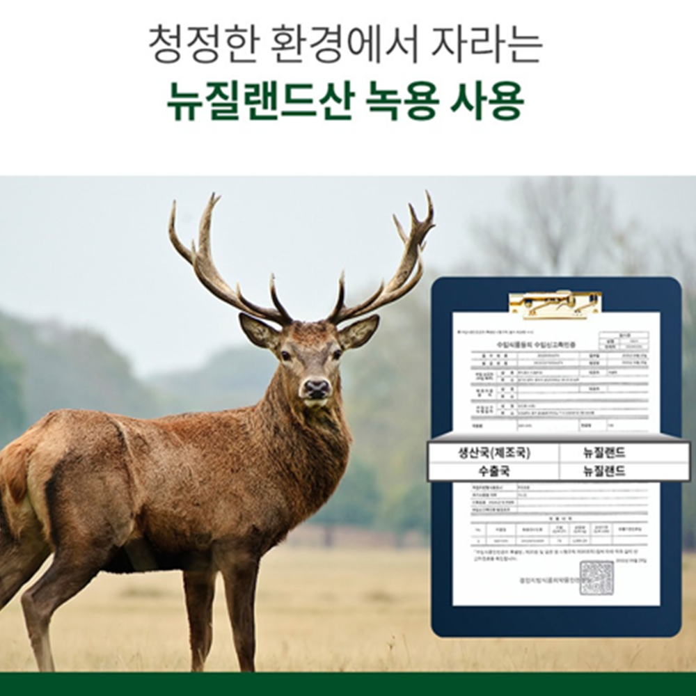 대웅생명과학 프리미엄 녹용 홍삼 진액 스틱 100포 3박스 6년근 생신 감사 인사 선물 - 상세 이미지 3