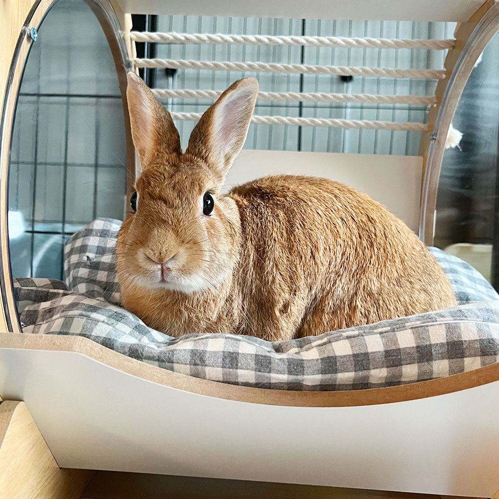 고양이숨숨집 원목 캡슐 고양이 쉼터 고양이하우스 - 상세 이미지 3