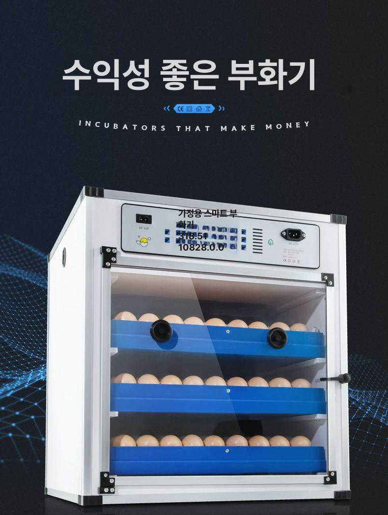 병아리육추기 병아리 계란 곰 부화기 알 달걀 닭 이미지 8