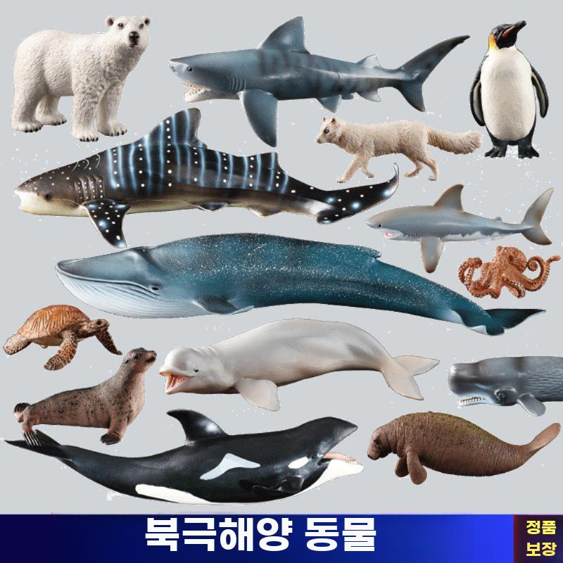실감 동물 피규어 바다 생물 장난감 돌고래 거북 상어 - 상세 이미지 4