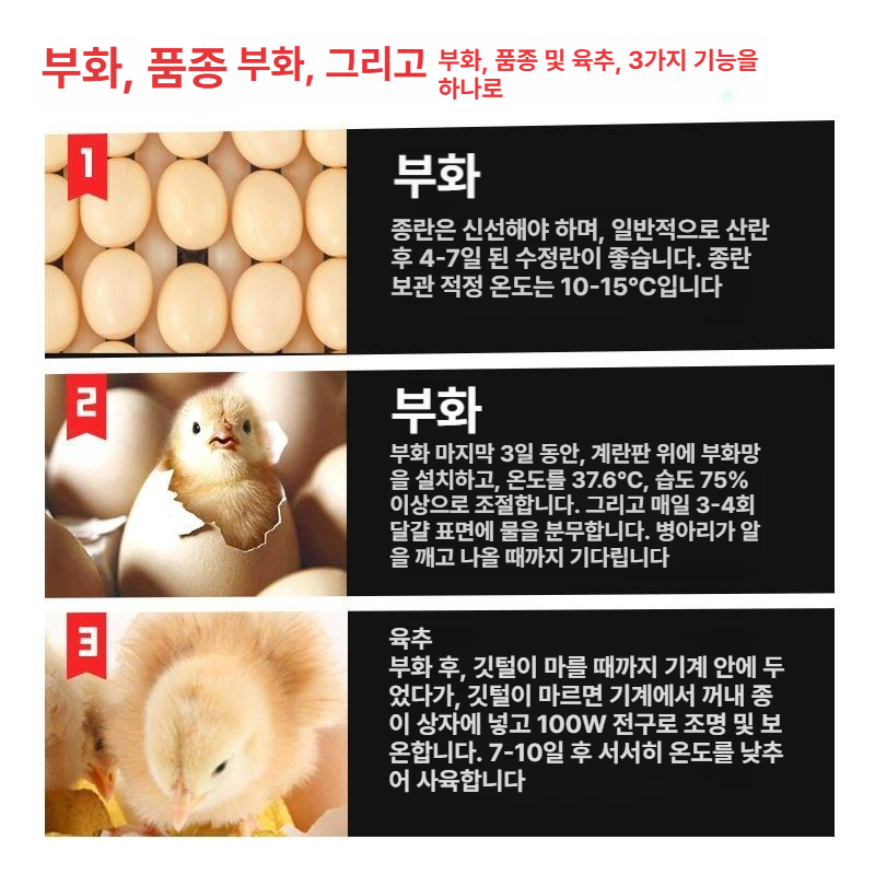 병아리육추기 병아리 계란 곰 부화기 알 달걀 닭 이미지 6