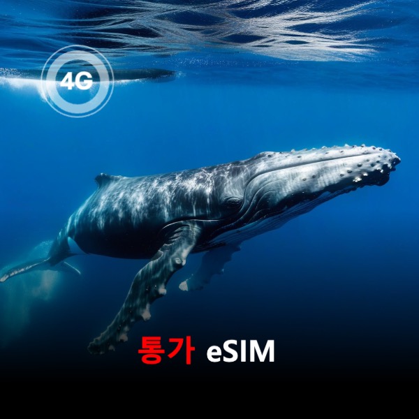 [통큰무제한] 통가 이심 eSIM 데이터 매일 3GB 초고속 이후 1Mbps 고속 무제한 이심통 - 상품 이미지