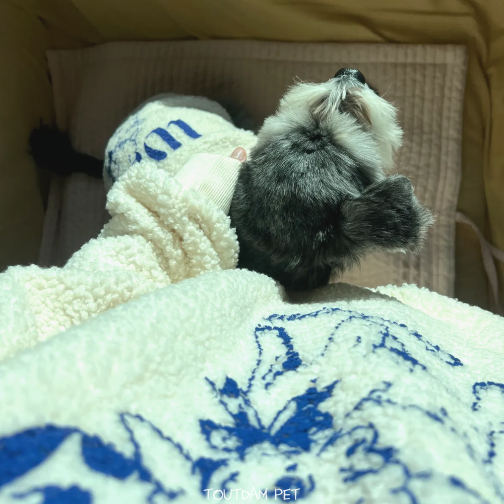 뚜담 강아지 견주 커플룩 강아지랑 커플 반려견 겨울조끼 - 상세 이미지 3