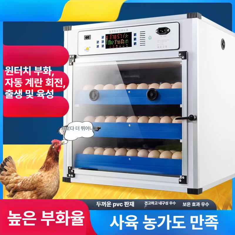 병아리육추기 병아리 계란 곰 부화기 알 달걀 닭 - 상세 이미지 4