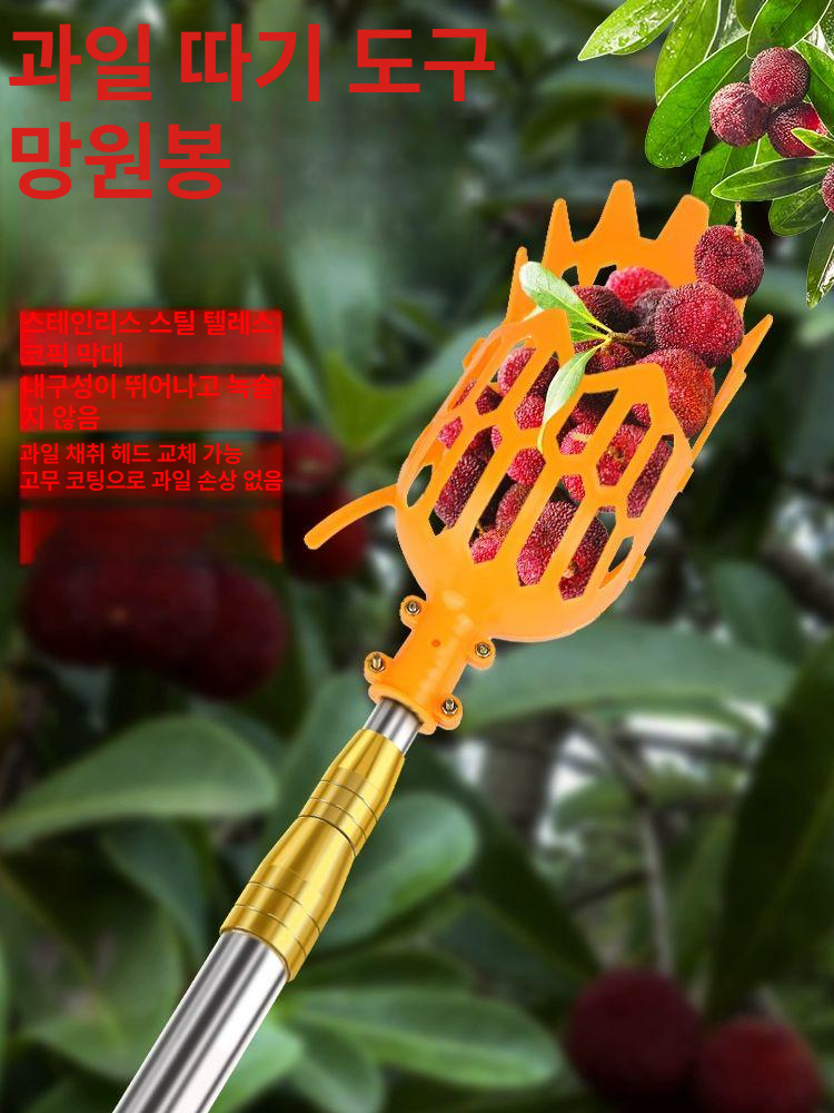 감따는 장대 감따기 기구 도구 과일 - 상세 이미지 2