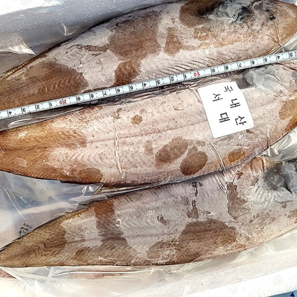 [억수로상회] 손질 밑간한 반건조 여수 서대 (국내산) 이미지 8
