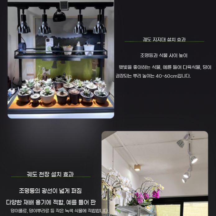 식물키우기 우산 식물등 다육이 키우기 성장등 세트 화분 조명 전구 천장 천장형 - 상세 이미지 3
