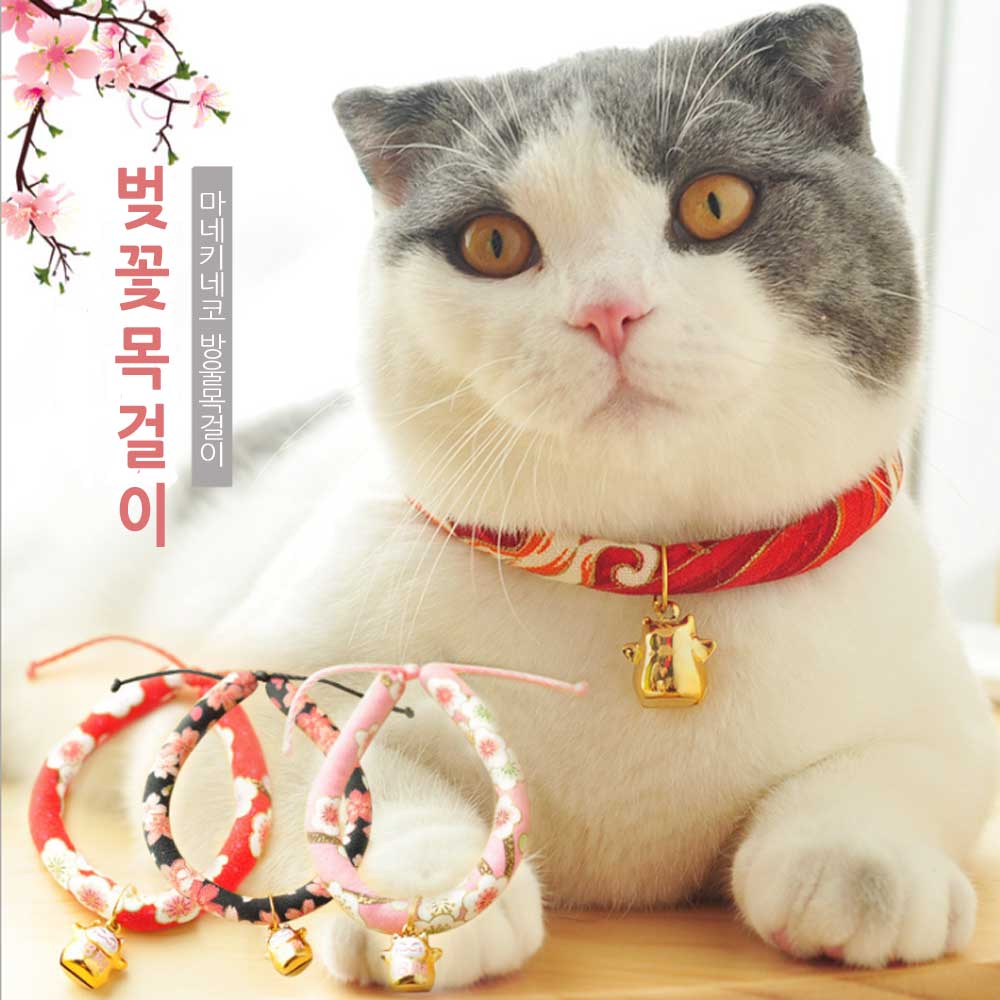 벚꽃 강아지 고양이 목걸이 목줄 - 상품 이미지