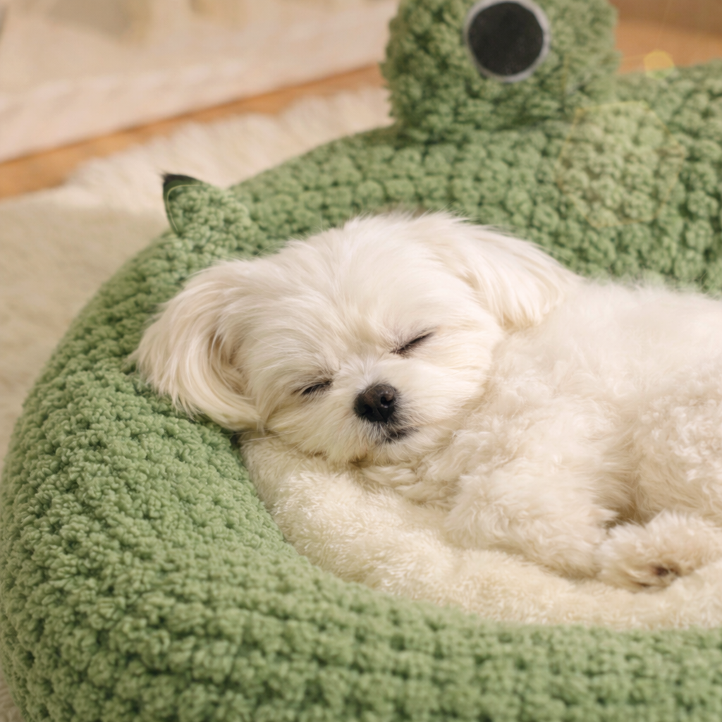 [원형] 애견 고양이 강아지 방석 쿠션 겨울 마약 베개