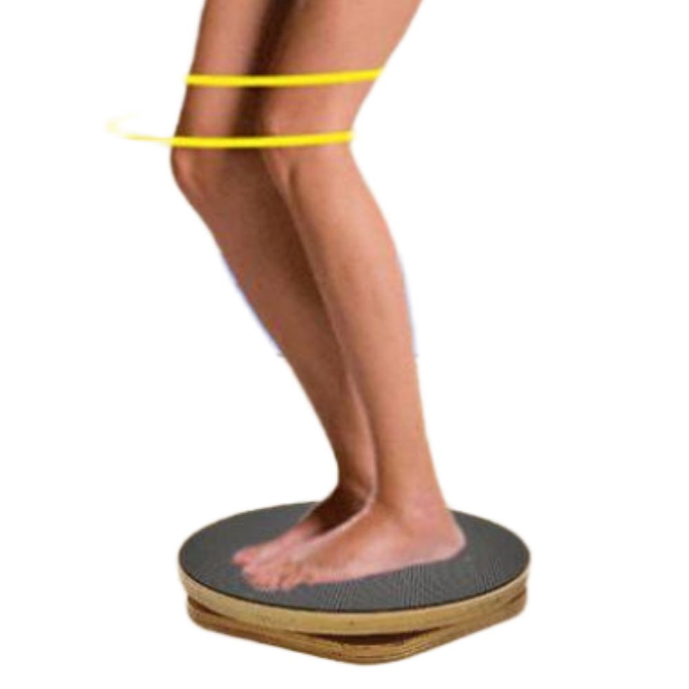 허리 트위스트 운동기구 허리비틀기 트위스터 회전 받침대 1구 원형 직경 30cm - 상품 이미지