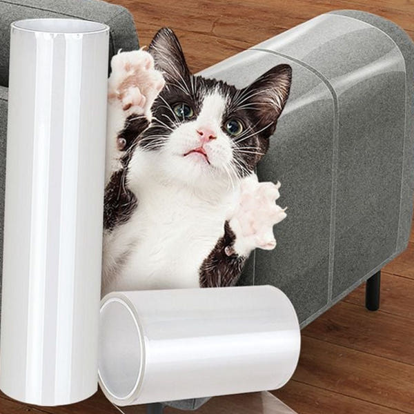 벽 고양이 스크래치방지 가구 보호