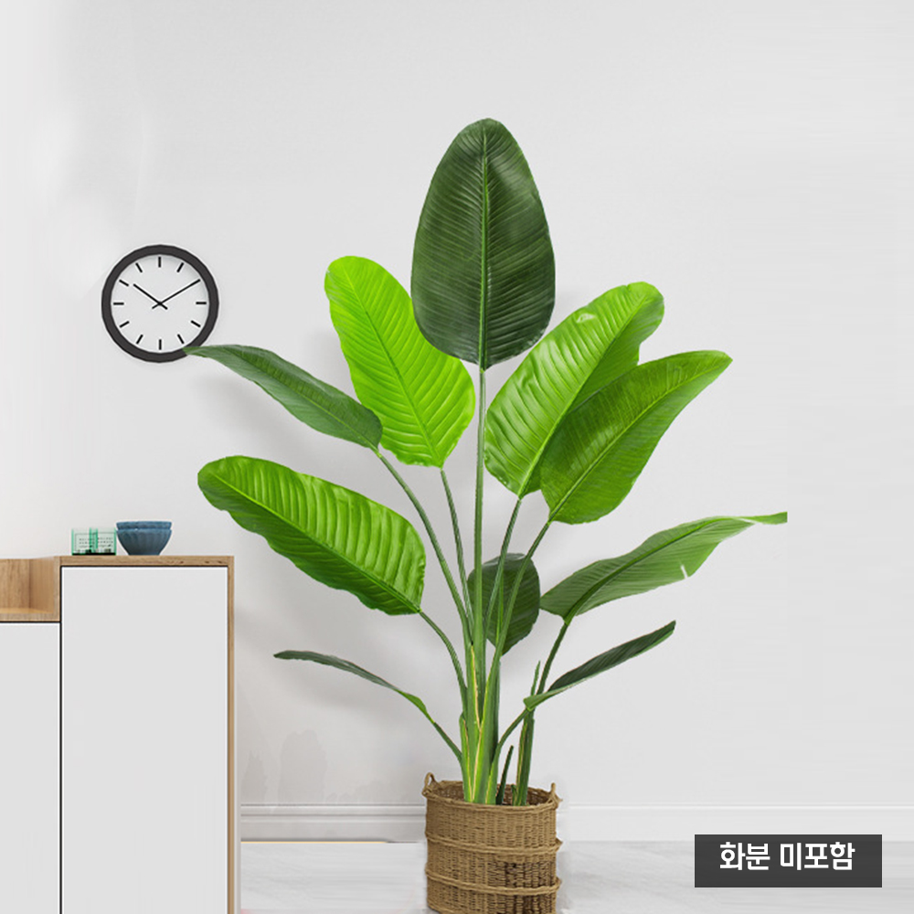 홈가든 여인초 조화 (180cm) - 상품 이미지