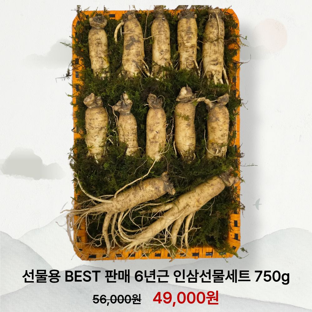 바른보부상 6년근 수삼 인삼선물세트 750g 생인삼 설 명절선물 - 상세 이미지 3