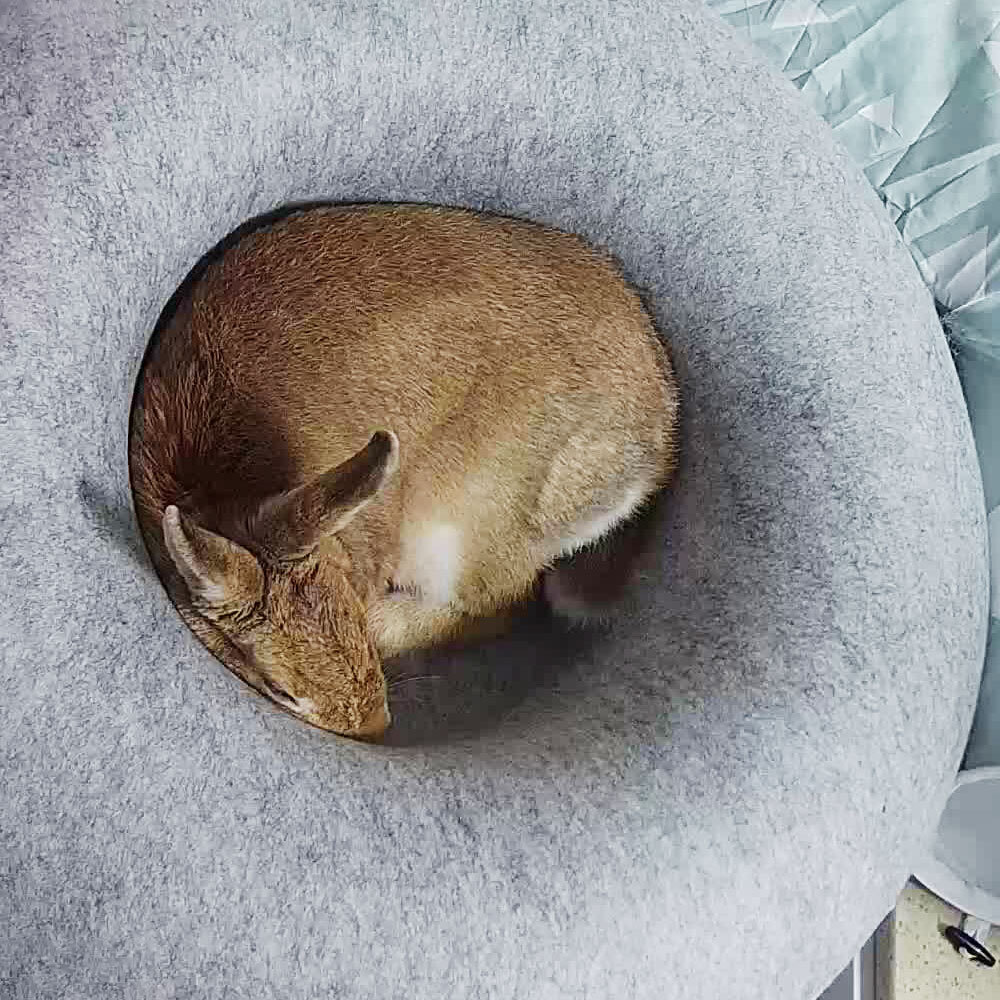 고양이터널 펠트 도넛 숨숨집 L 그레이 고양이하우스 - 상품 이미지