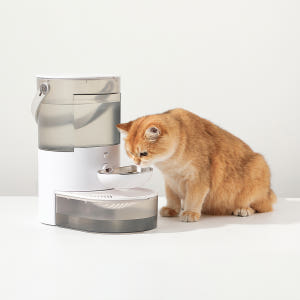 묘향가 고양이 정수기 자동급수기 강아지 음수대 자동센서 필터제로 살균 온... 솔직 후기 | 실제 사용자 리뷰 총정리 - 상품 이미지 3