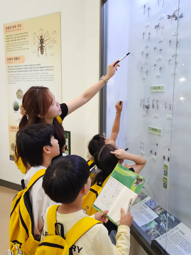 [2천원환급][초등교사자격] 서울 서대문자연사박물관 초등 역사 과학 체험 주말 특강 어린이 역사체험학습 도슨트 해설 수업 by 티처투어