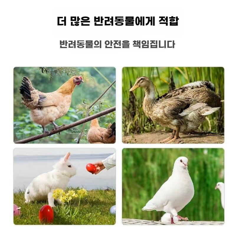 야외 닭장 닭 오리 우리 사육장 울타리 양계장 케이지 1.5mx2mx1.7m (플라스틱) - 상세 이미지 5