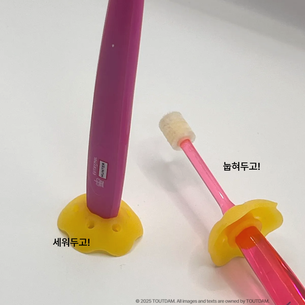 뚜담펫 강아지 360도칫솔 반려견 고양이 칫솔 스케일링