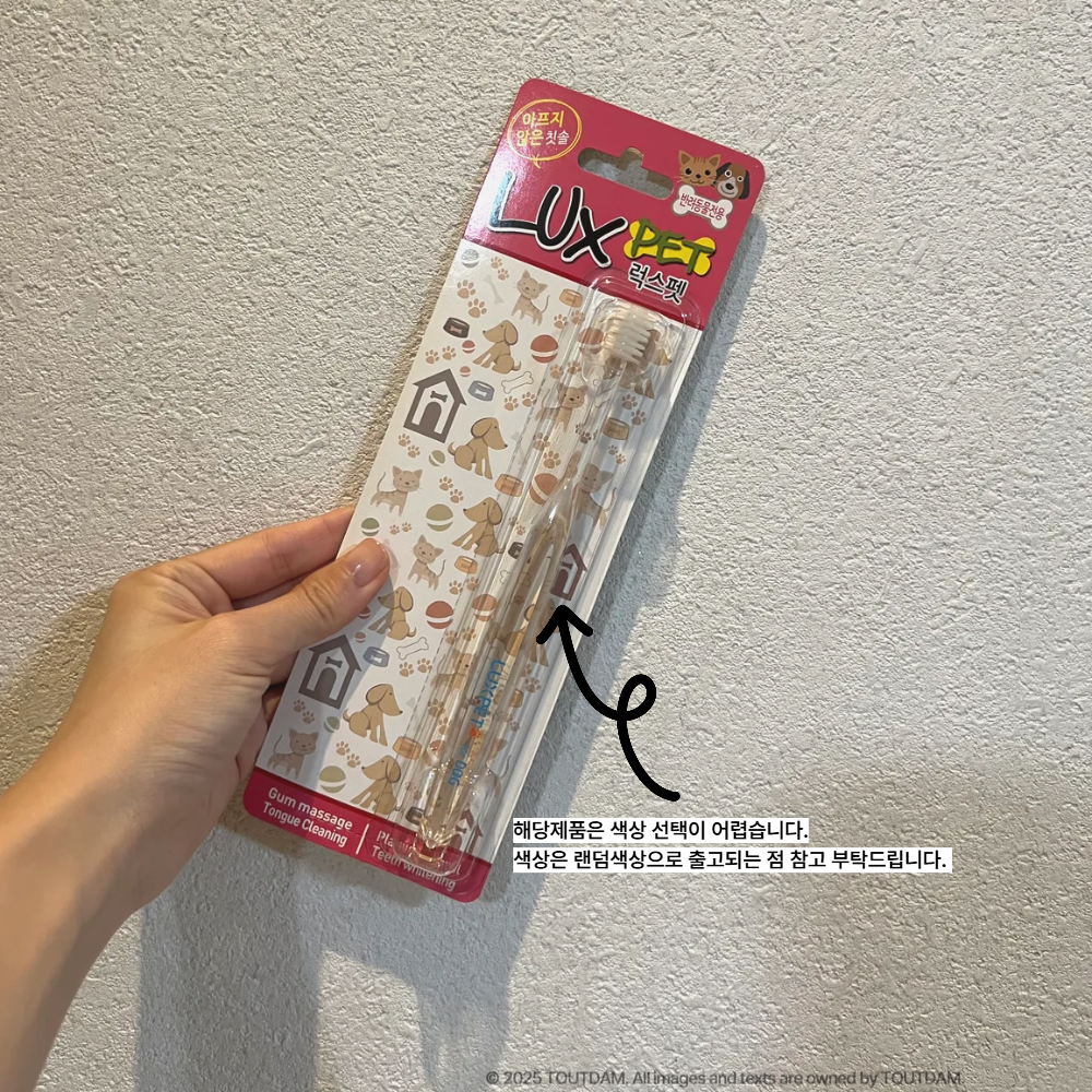 뚜담펫 강아지 360도칫솔 반려견 고양이 칫솔 스케일링