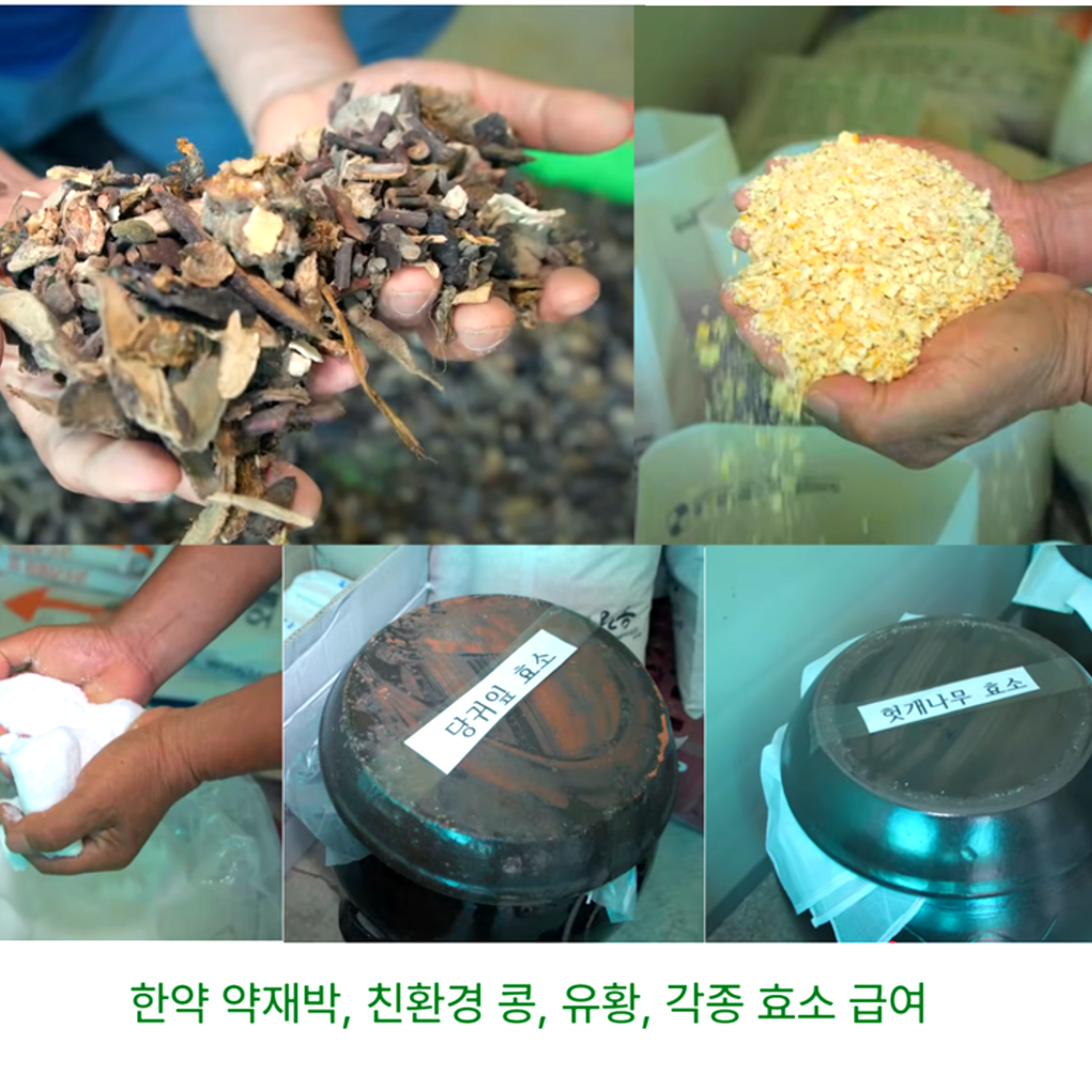 산들프레시 / 강변축산 자미유정란 [ 건강 초란 ] 동물복지 난각번호1번 10구, 4개 - 상세 이미지 3