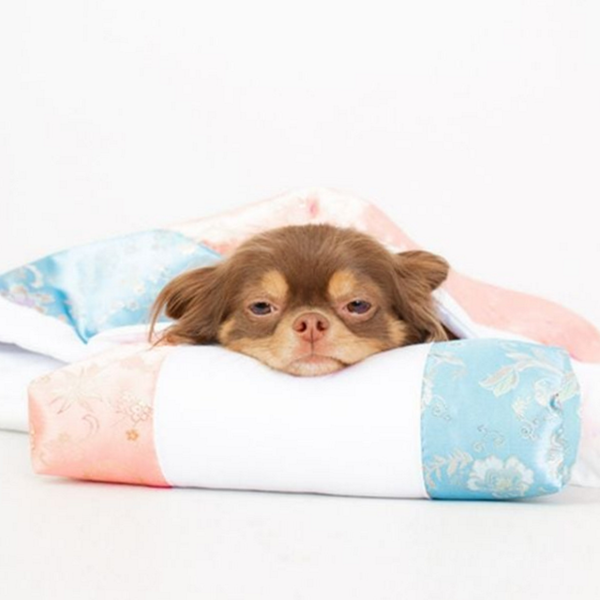 반려동물 강아지 이불 애묘 고양이 이불 잠자리 베개 - 상품 이미지