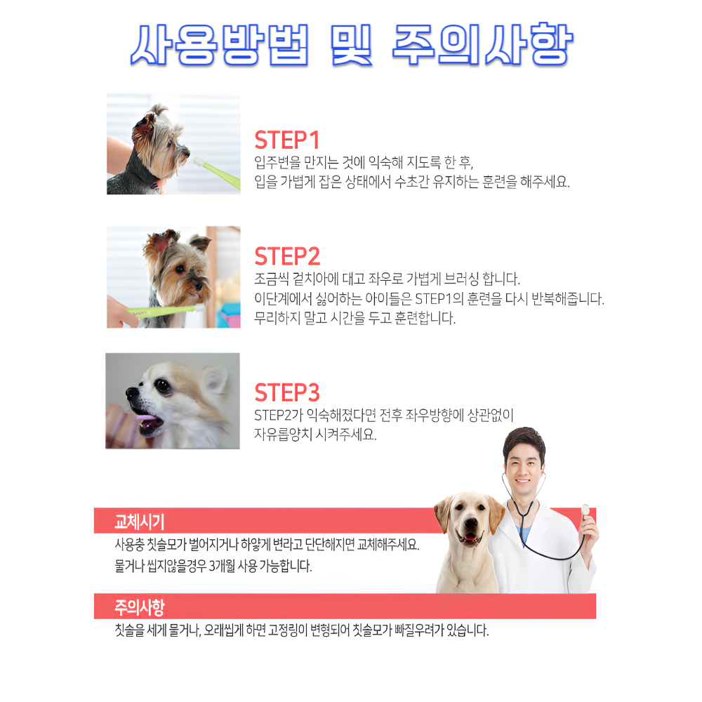 뚜담펫 강아지 360도칫솔 반려견 고양이 칫솔 스케일링