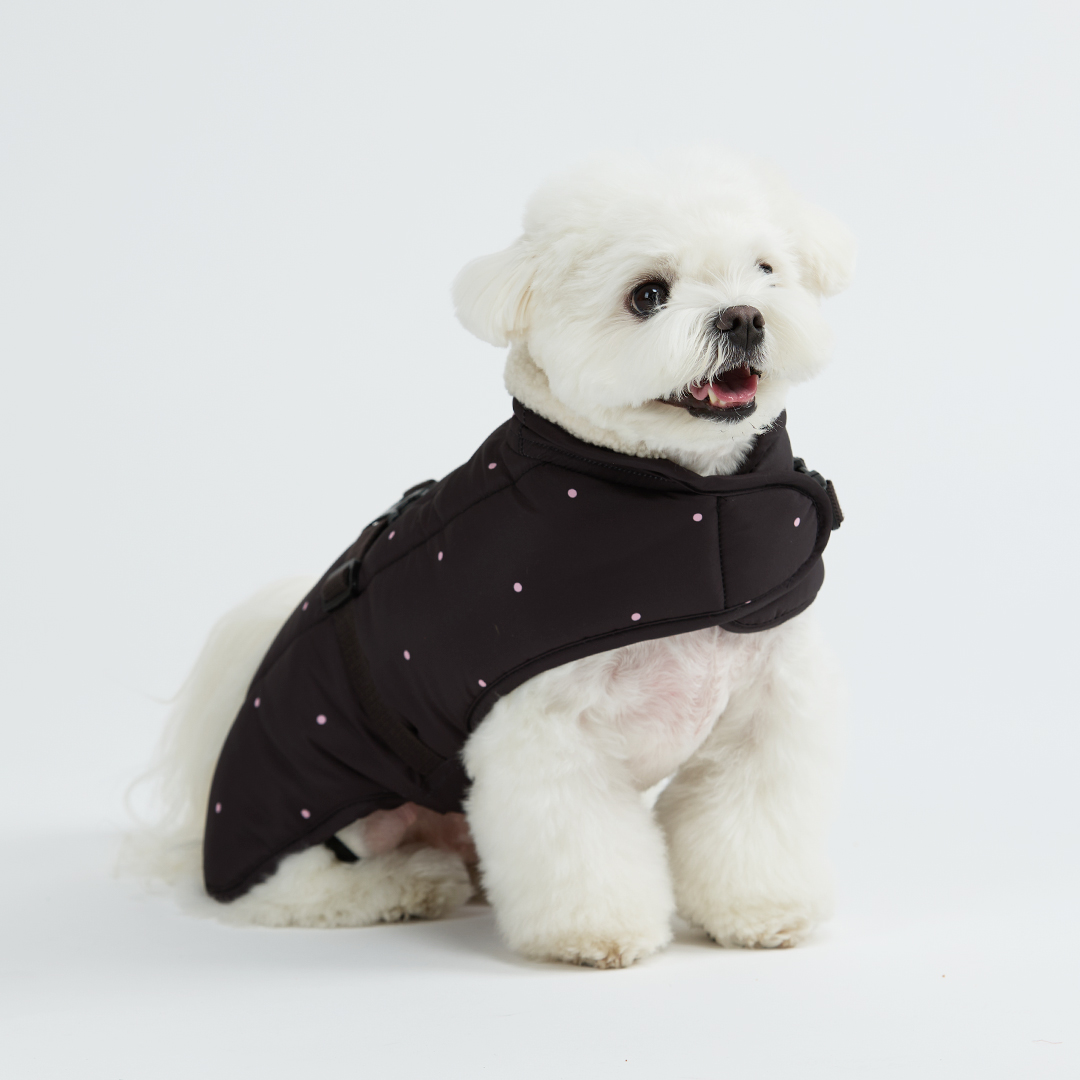 일로 도로시 패딩 강아지 소형견 중형견 대형견 발열 블랙 이미지 7