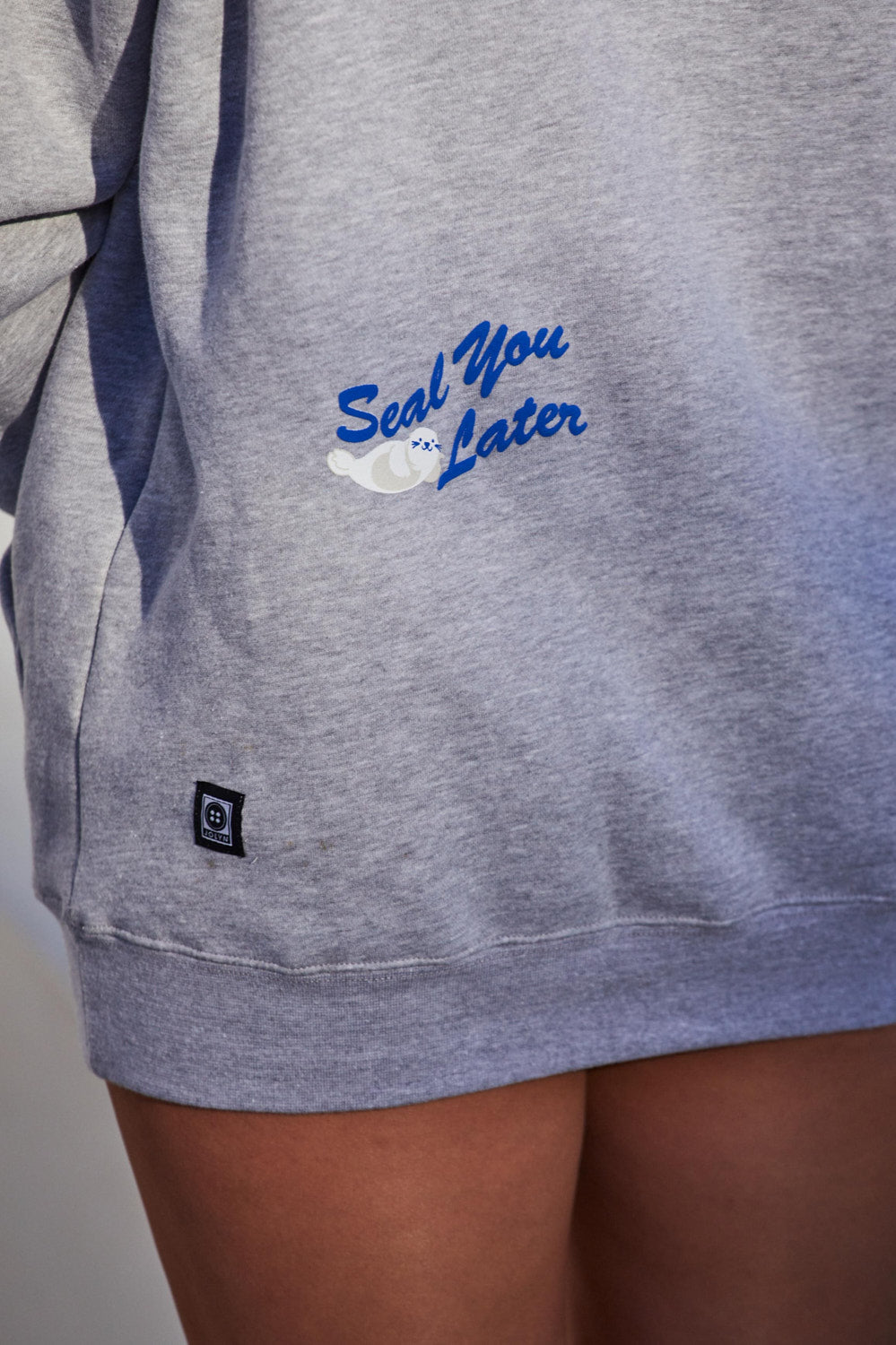 Jolyn Raine Hoodie - Seal - 상세 이미지 2