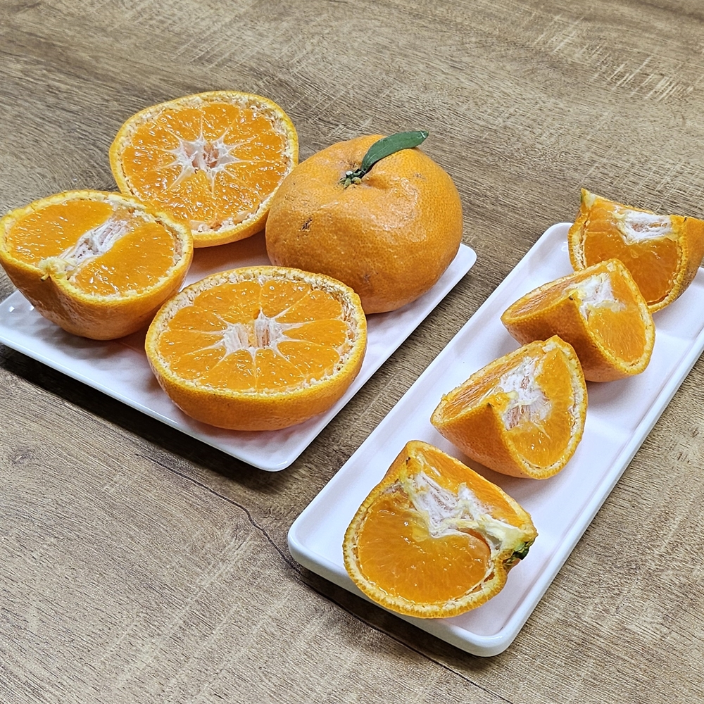 윈터프린스 제주 고당도 환타맛 프리미엄 감귤 대과, 3kg, 1개 - 상세 이미지 4