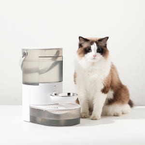 묘향가 고양이 정수기 자동급수기 강아지 음수대 자동센서 필터제로 살균 온... 솔직 후기 | 실제 사용자 리뷰 총정리 - 상품 이미지 1