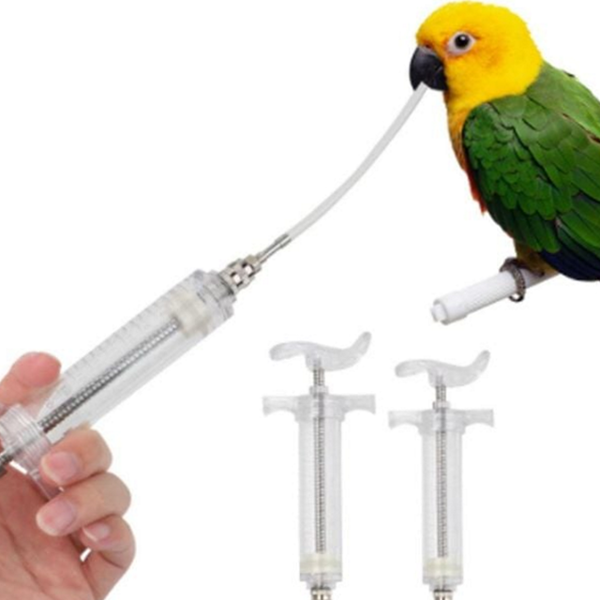 애완조 앵무새 먹이 주사기 조류 모이 주사기 급여기 급식기