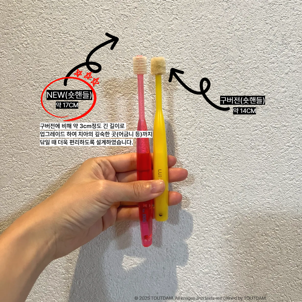 뚜담펫 강아지 360도칫솔 반려견 고양이 칫솔 스케일링