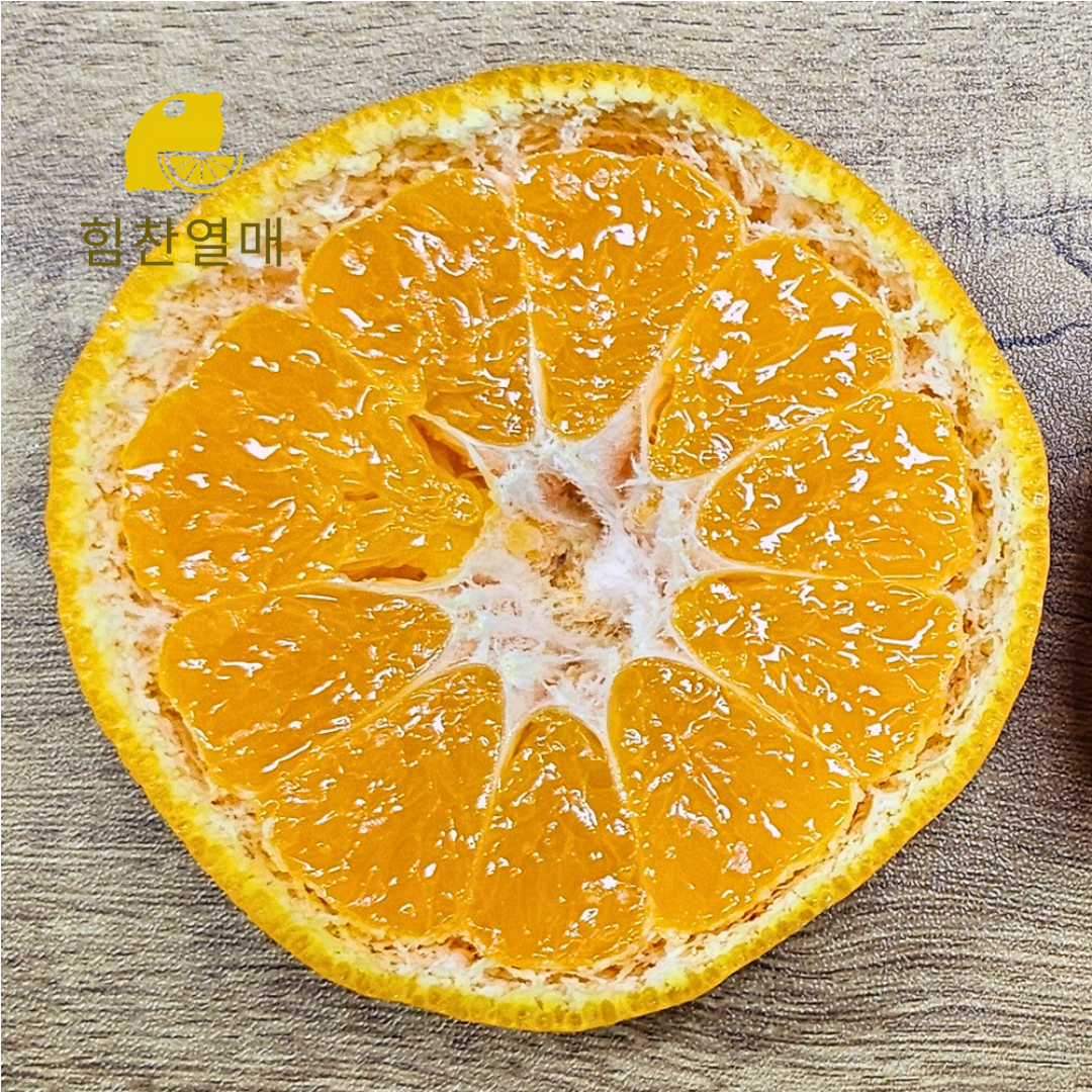 윈터프린스 제주 고당도 환타맛 프리미엄 감귤 대과, 3kg, 1개 - 메인 이미지
