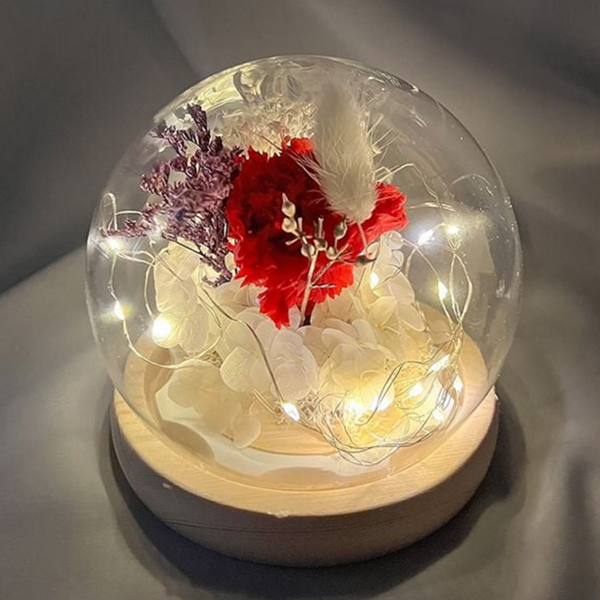 선물용 카네이션 무드등 탁상 인테리어 조명 간접조명 침실 유리돔 수유등