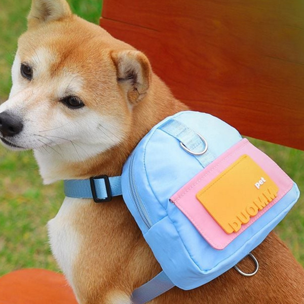 산책용 강아지 하네스 가방 백팩 애견 하네스 가방 소형견 반려동물