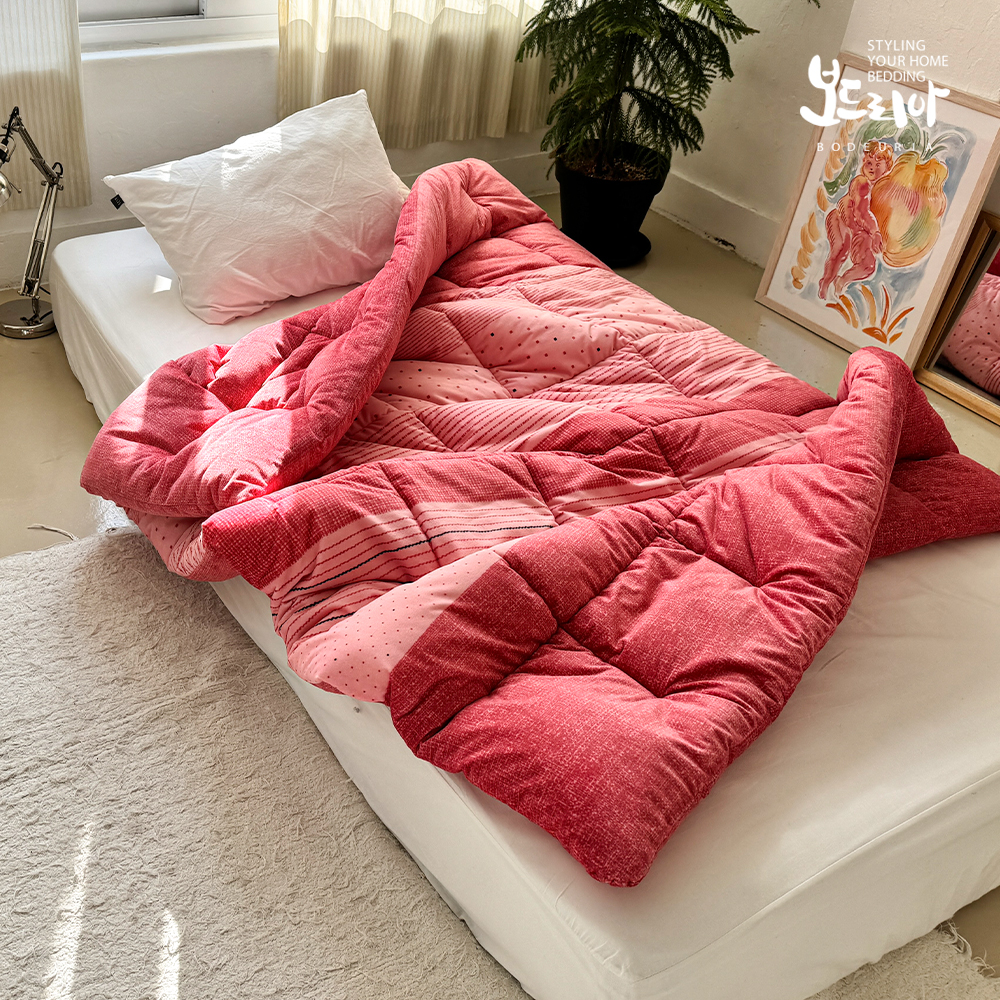 보드리아 1+1 데이나 겨울 먼지없는 극세사 싱글 차렵이불 S 두꺼운 겨울이불