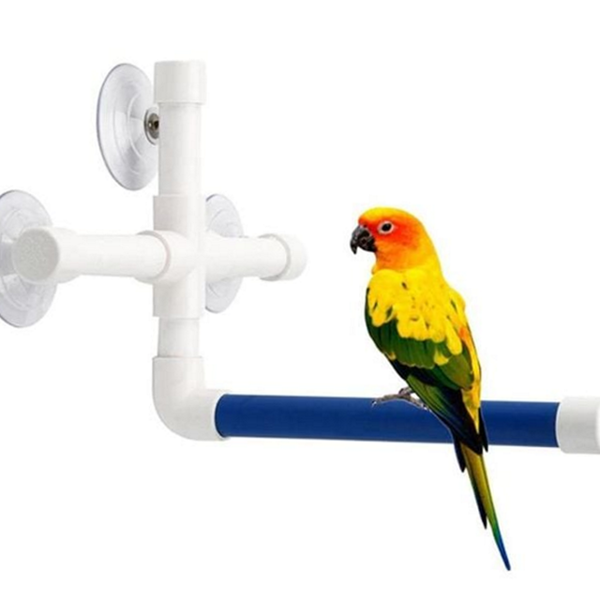 흡착 앵무새 샤워대 스탠드 앵무새 목욕대 훈련대 놀이터