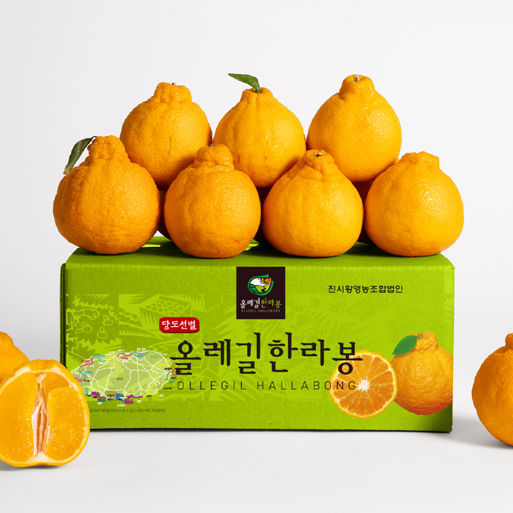 [산지직송] 올레길 ai 당도선별 한라봉 소과, 3kg, 1개 - 상품 이미지