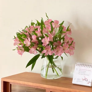 [선물하기 NO.1] 알스트로메리아(7colors) 생일 꽃다발 생화배송... 솔직 후기 | 실사용자 리뷰 분석 - 상품 이미지 1