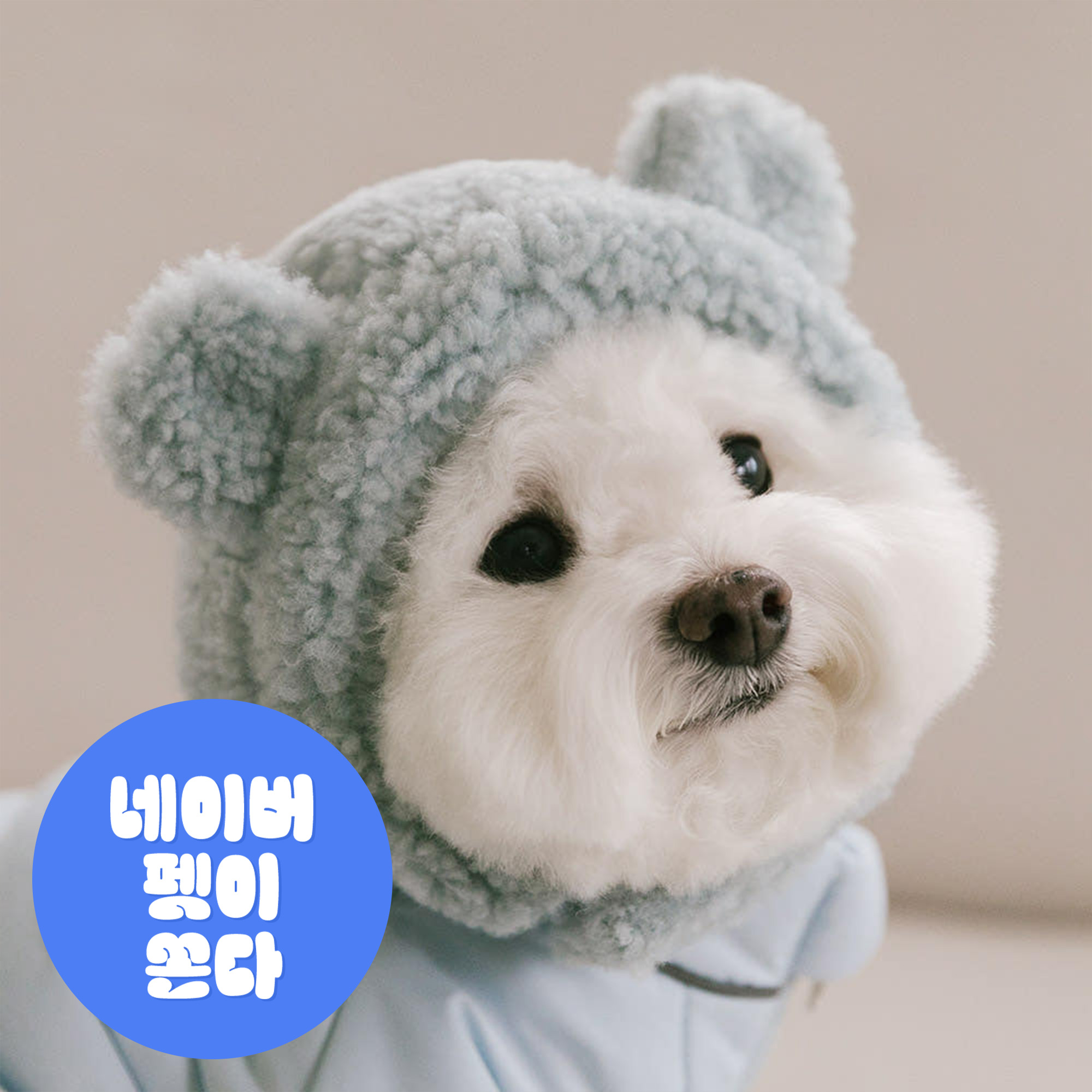 강아지모자 애견 고양이 겨울 모자 몽글베어 - 상품 이미지