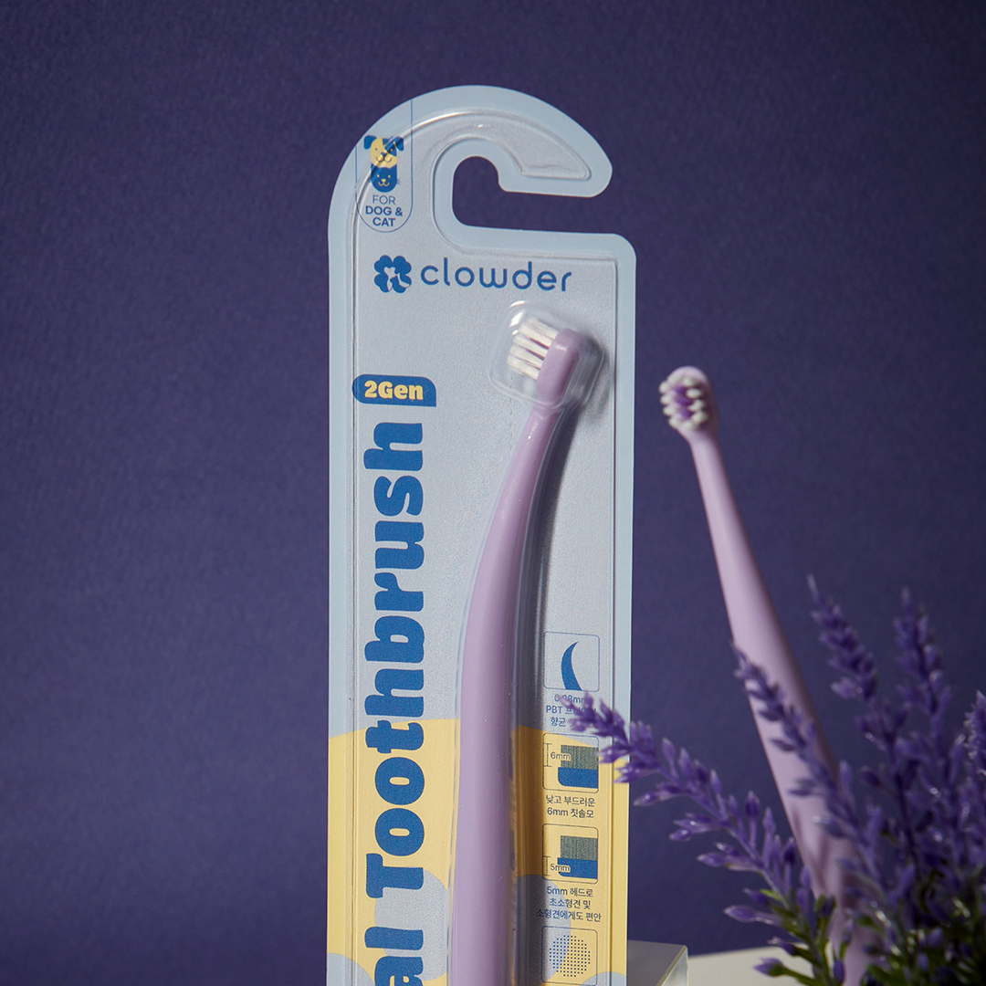 클라우더 강아지 고양이 미니사이즈 미세모 칫솔 2세대 4개입, 1개