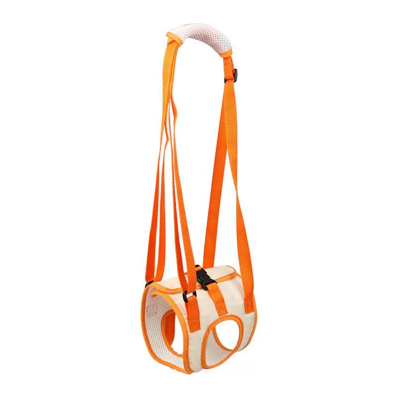 강아지보조기 반려견 보호 노견 움직임 뒷다리 슬개골 교정 오렌지 S 28-36cm 17cm - 상품 이미지