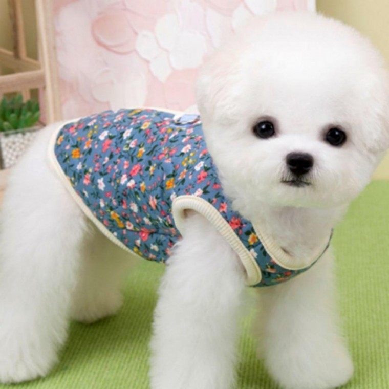 강아지 산책 방한 김장 기모 누빔 할머니 패딩 조끼